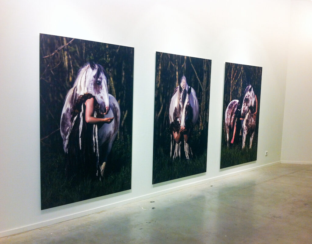 Mori Okhin - three large dibond photos with A horse and the artist