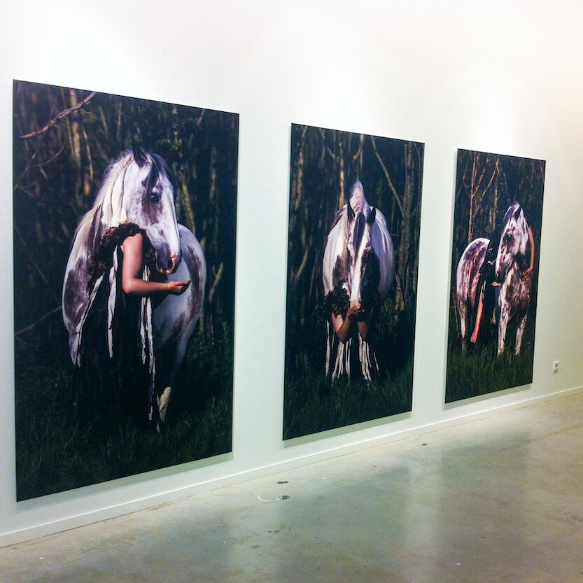 Edda - three large dibond photos with A horse and the artist